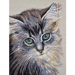 S742 Green eyed miracle 20x26 cm (Kifutó)