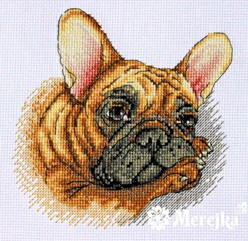 SK114 Francia Bulldog 15x15 cm