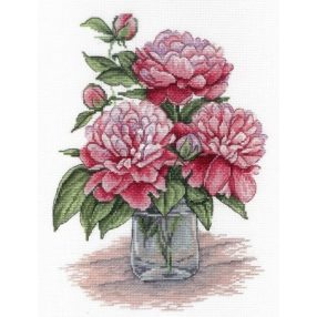 SNV543 King Favourite 30x20 cm