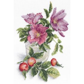 SNV565 Tender Dogrose 31x21 cm