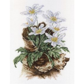 SNV567 First Flowers 24x18 cm