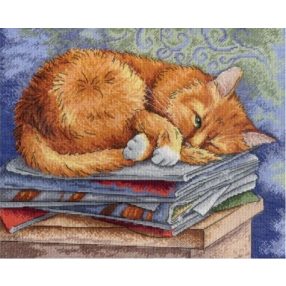 SNV595 Studying Cat 22x27 cm