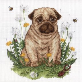 SNV613 Puppy 20x20 cm
