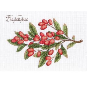 SNV619 Barberry 25x20 cm