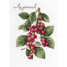 SNV625 Schisandra 20x15 cm