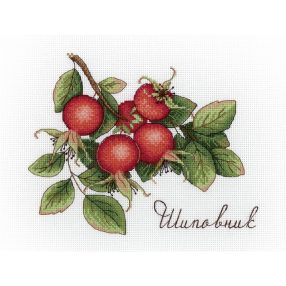 SNV630 Dogrose 15x20 cm