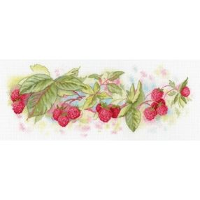 SNV647 Aroma 15x34 cm