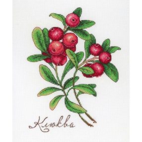 SNV649 Cranberry 20x15 cm