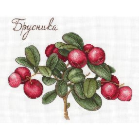 SNV650 Berries 20x15 cm