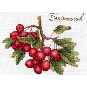 SNV651 Berries 20x15 cm