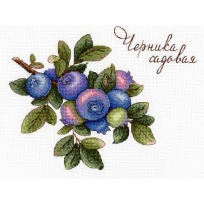 SNV656 Blueberries 15x20 cm