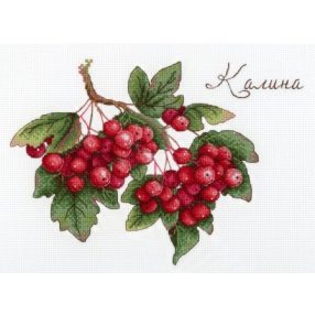 SNV657 Viburnum 15x20 cm