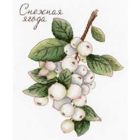 SNV662 Berries 20x25 cm