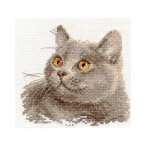 0-134 British Cat 12x11 cm