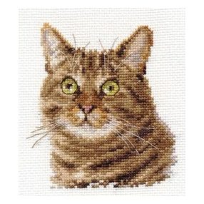 0-135 Cat's Eyes 11x12 cm