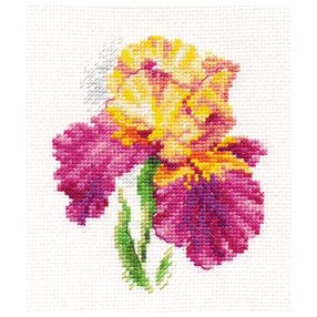 0-136 Irises 10x12 cm