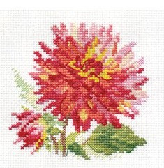 0-139 Dahlia 10x10 cm