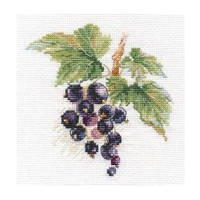 0-141 Black Currant 11x11 cm