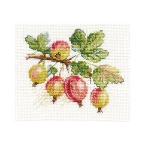 0-142 Gooseberry 11x9 cm