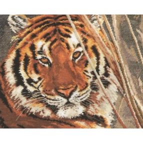1-08 Tiger 35x28 cm