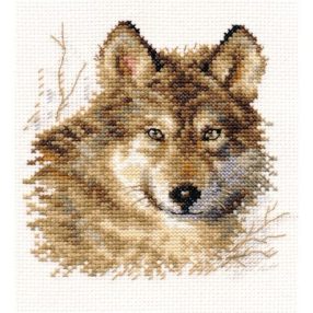 1-27 Wolf 12x12 cm