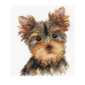 1-29 Yorkie 10x13 cm