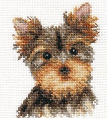 1-29 Yorkie 10x13 cm