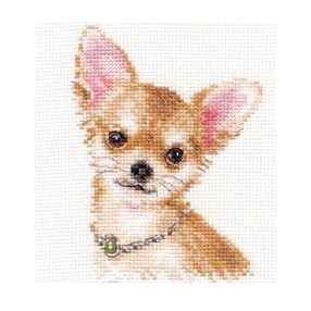 1-30 Chihuahua 10x13 cm