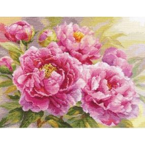 2-35 Peonies 30x40 cm