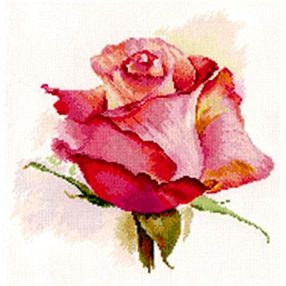 2-39 The breath of Rose 24x24 cm