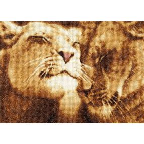 dzh028 Lions in love 22x30,5 cm
