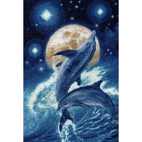 f031 Dolphins 35,2x22,9 cm