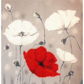 kn001 Red Poppies 42,5x31,5 cm