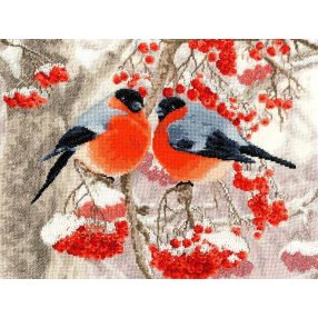 rs018 Bullfinch 24,7x32,2 cm
