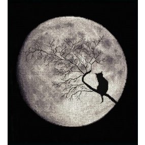 s009 Moon Sonata 27x26 cm