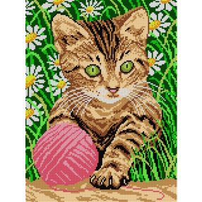 1242J Cica a fűben 30x40 cm