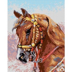 2117H  Józef Brandt - Armour Companion 24x30 cm