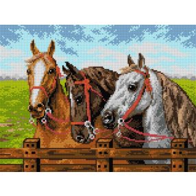 2133J Három ló a kerítésnél 30x40cm