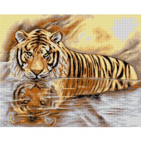 2372M Tigris 40x50cm