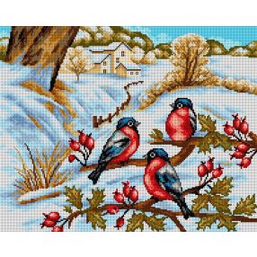 2421M Pirókok 40x50cm