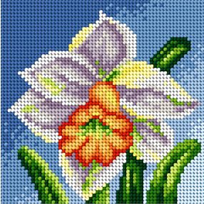 2441D Nárcisz 15x15cm