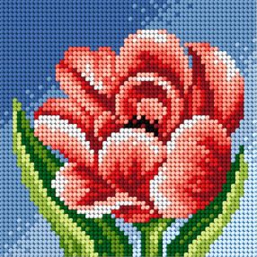 2443D Bazsarózsa 15x15cm