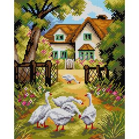 2498H Libák az udvarban 24x30cm