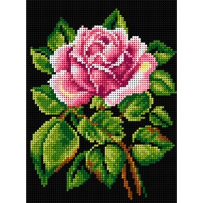 2574F Rózsa 18x24 cm