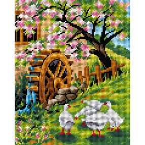 2579H Libák 24x30cm