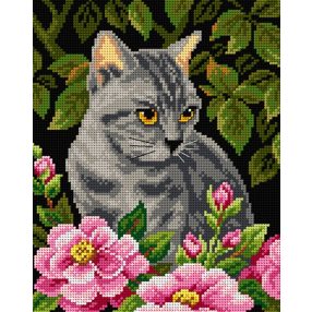 2582H Szürke cica a kertben 24x30cm