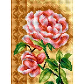 2585F Rózsa 18x24cm