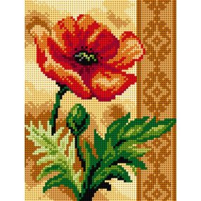 2586F Pipacs 18x24cm