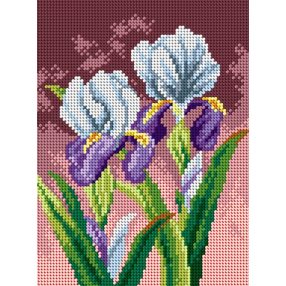 2595F Írisz 18x24cm