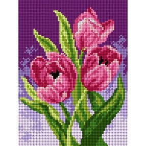 2596F Tulipán 18x24cm